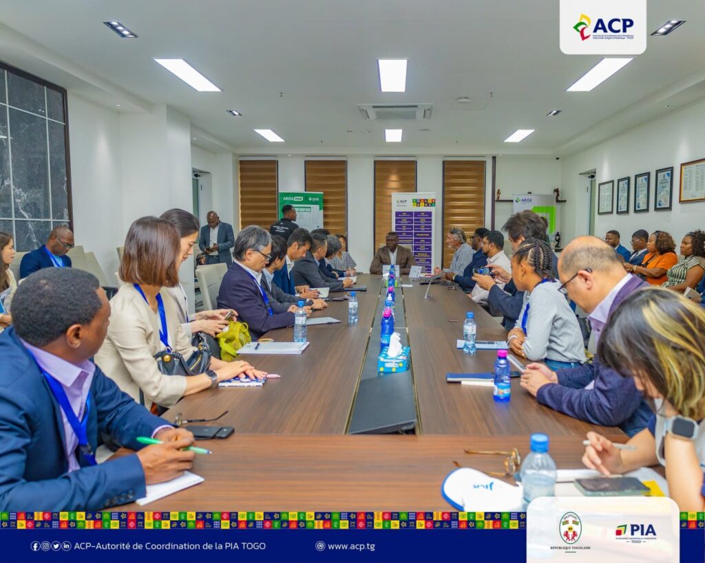 Togo - japon : la PIA d'Adétikopé en vitrine pour attirer de nouveaux investissements 